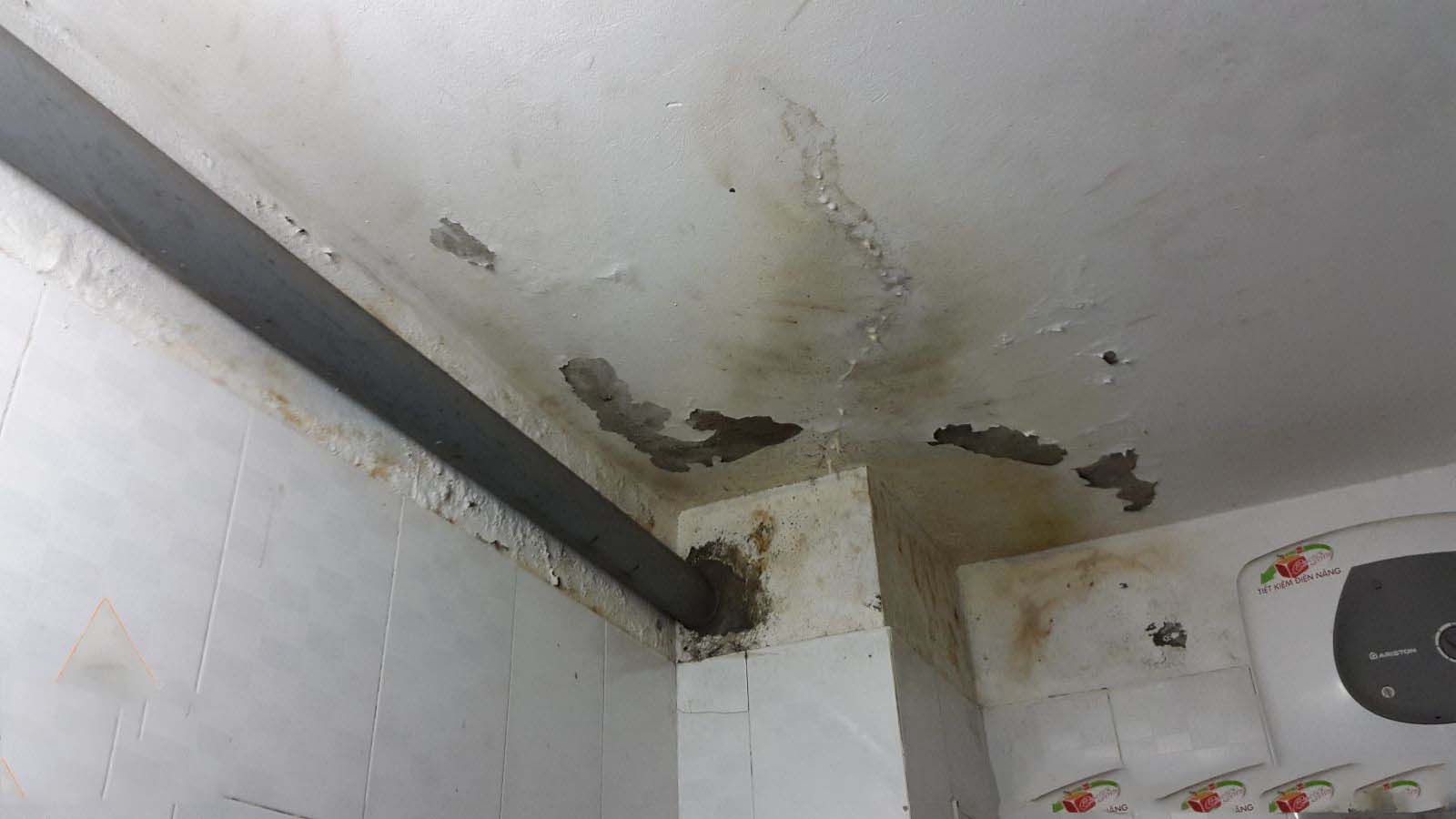 Tác hại nếu không xử lý chống thấm nhà vệ sinh kịp thời