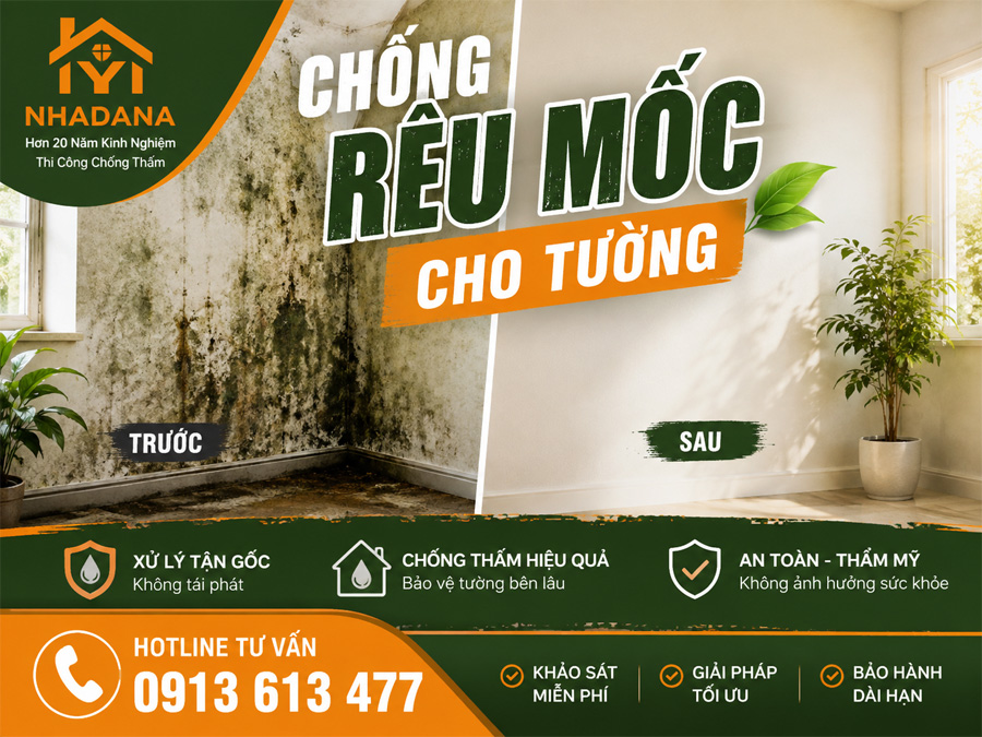 Chống Rêu Mốc Cho Tường: Cách Xử Lý Nhanh Và Ngăn Mốc Quay Trở Lại